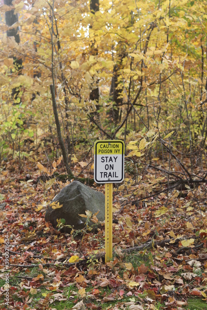 trail sign, STAY ON TRAIL, FALL DAY, YELLOW, LEAVES, DAY, 