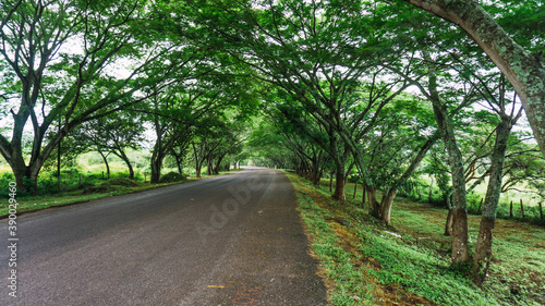 Beauty and green road in Intibuca Honduras