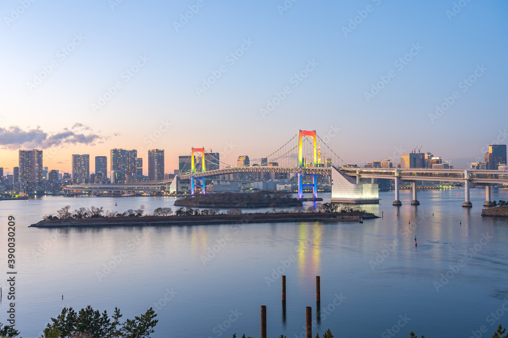 View of Tokyo bay city skyline at night in Japan