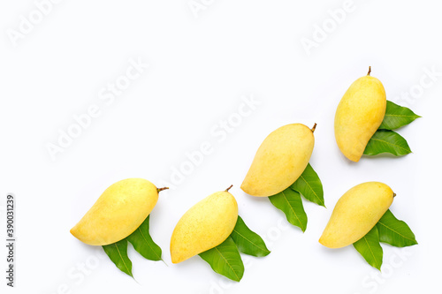 Tropical fruit, Mango  on white background.