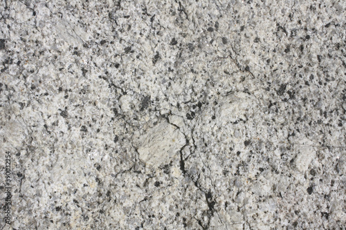 Porphyritic granite surface. Intrusive igneous rock.