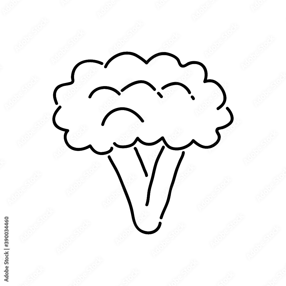 broccoli outline icon vector broccoli outline icon vector