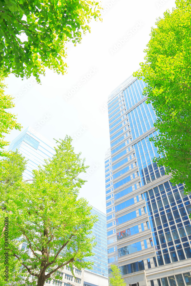 大手町新緑イメージ 大手町新緑イメージ