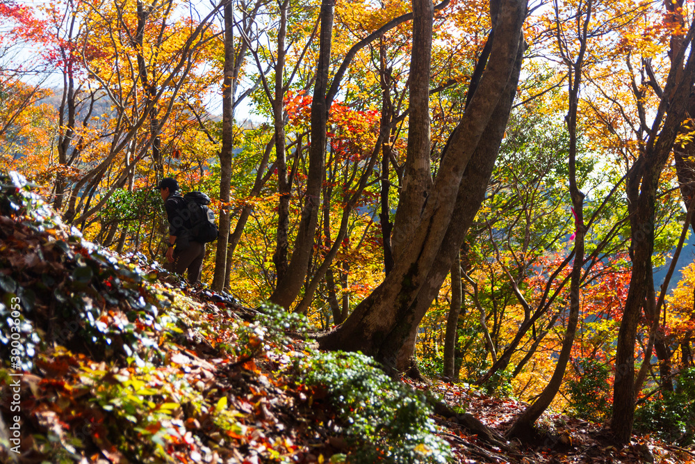 紅葉の武奈ヶ岳 登山風景