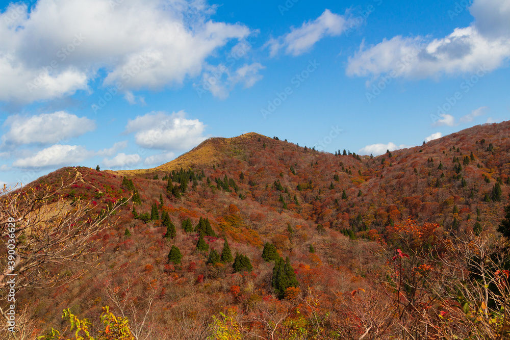 紅葉の武奈ヶ岳 登山道から山頂を望む 紅葉の武奈ヶ岳 登山道から山頂を望む