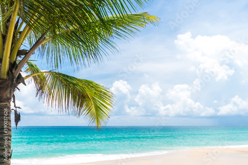 Fototapeta Naklejka Na Ścianę i Meble -  Tropical coconut tree at beach and white sand in summer season with sun light blue sky.