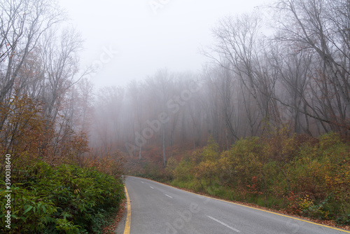 Winding road in foggy autumn mountain forest