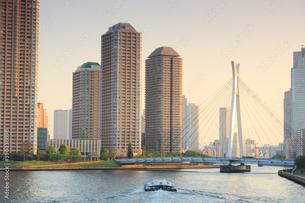 Fototapeta premium 佃島大川端リバーシティとヒミコ