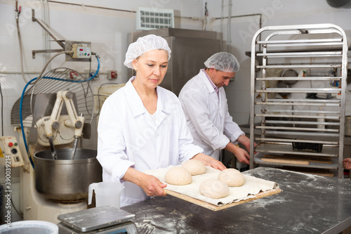 Skilled female baker preparing shaped raw dough for proofing before baking