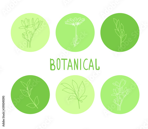 Set of the hand drawn flora elements. Vector illustration.Line Icon. Flower logo element. Natural Instagram Story. Instagram Story Highlight Icon.