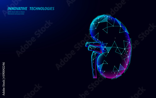 Healthy kidney internal organ 3d low poly geometric model. Urology system medicine disease treatment. Future science technology glowing arrows vector illustration