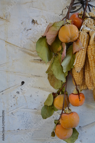 autumn still life