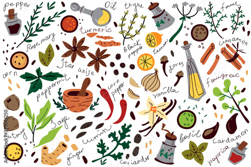 Spices doodle set