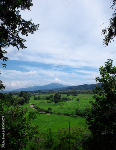 Beautiful viewpoint with  mountains and green rice fields  under the cloudy blue sky on the vertical frame