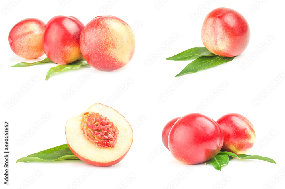Collection of juicy ripe peaches Collection of juicy ripe peaches