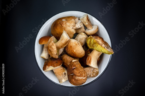 Beautiful fresh porcini mushrooms in metal basin on dark background isolated season healthy food 