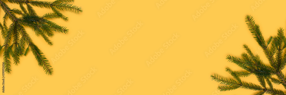 Banner with fir branches on a yellow background. Colorful natural concept with copy space.