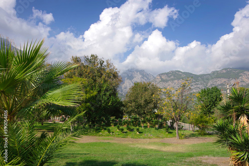 Mountain landscape in Turkey. Green trees and palms against the backdrop of high mountains and thick white clouds.
