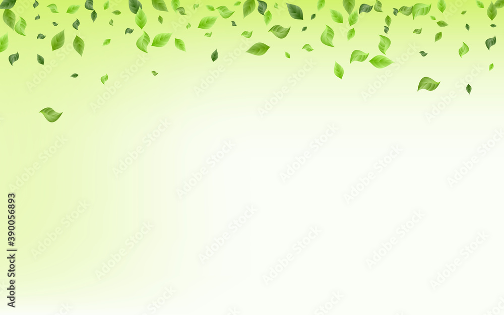 Green Leaves Flying Vector Green Background Green Leaves Flying Vector Green Background