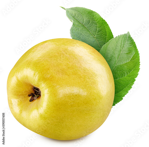 One whole quince with leaves isolated
