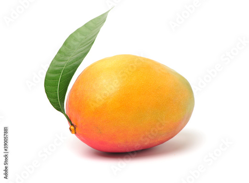mangos on a white background