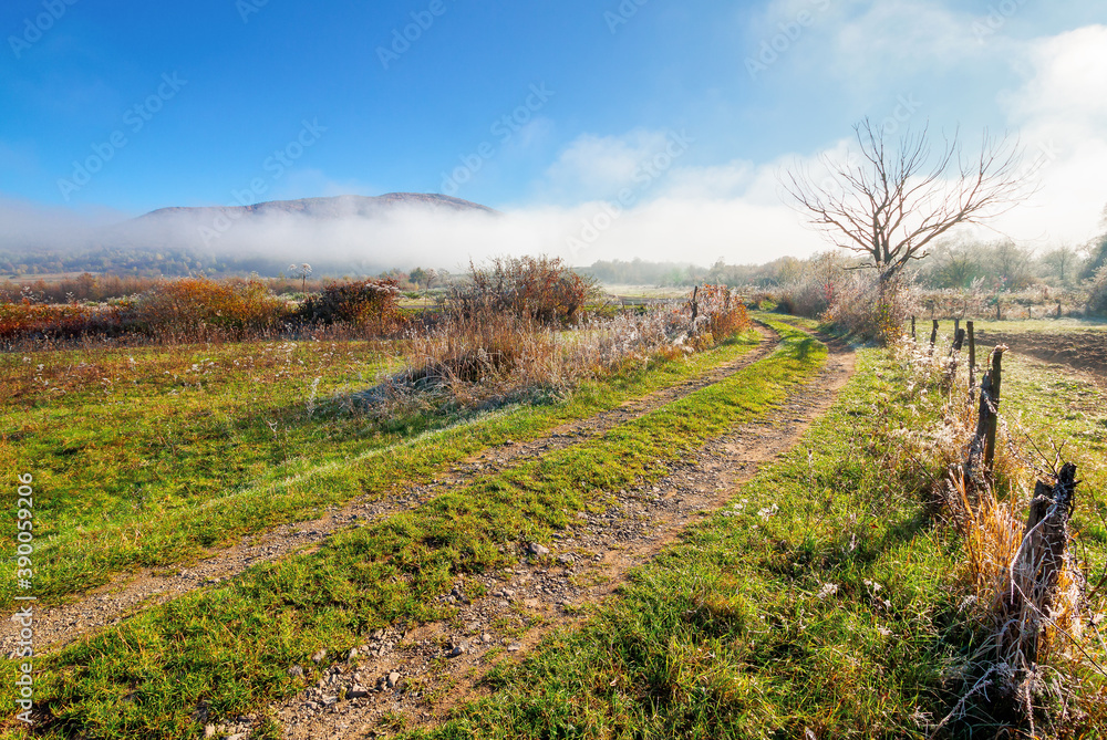 Obraz premium rural landscape on a foggy sunrise. beautiful countryside scenery in autumn season. trees in fall foliage by the road. bright sunny morning