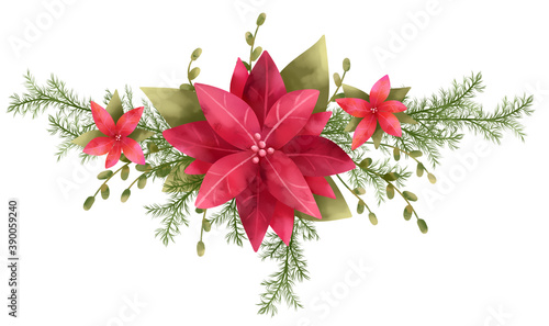Poinsettia, three flowers, central element