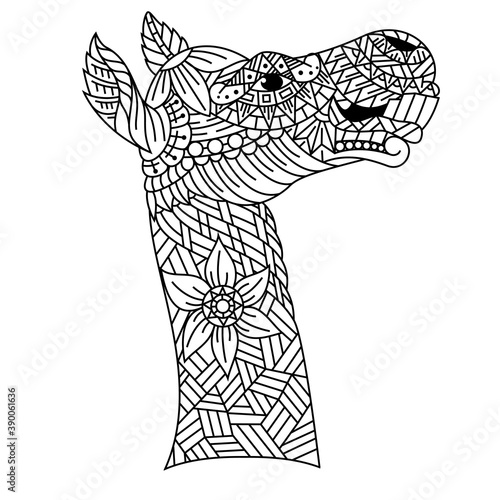 Hand drawn of camel head in zentangle style