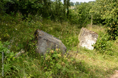 Two concrete blocks lying in the forest
