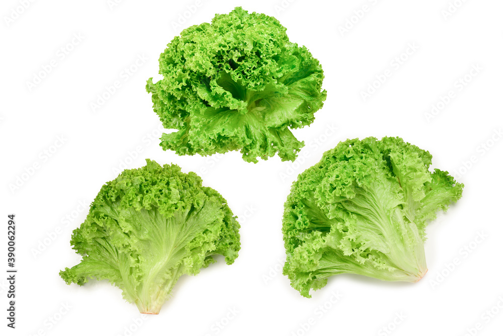 Iceberg lettuce isolated on white background. Iceberg lettuce isolated on white background.