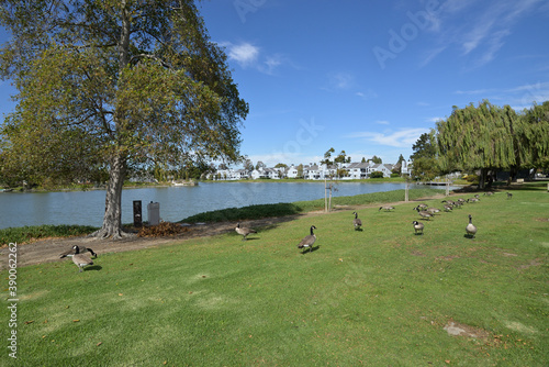 アメリカの計画住宅地：レッドウッド・ショアーズの街並み