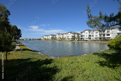 アメリカの計画住宅地：レッドウッド・ショアーズの街並み