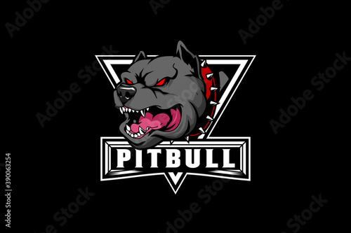 Aggressive Pitbull Dog Cartoon Character vector logo badge template photo