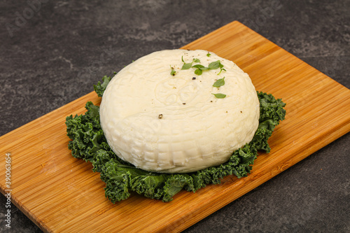 Caucasian suluguni round cheese piece