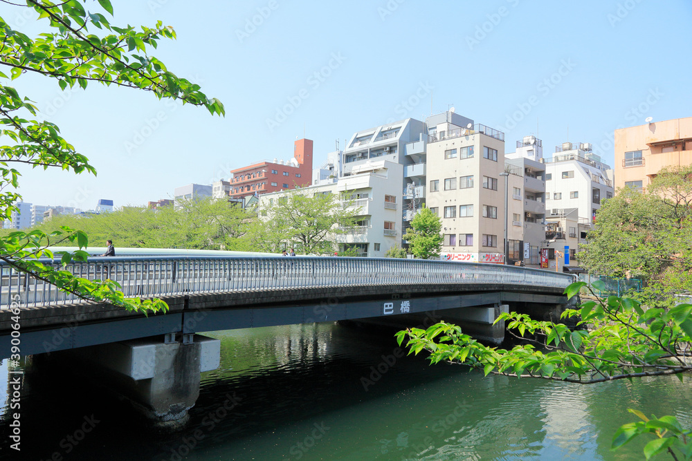 大横川　巴橋