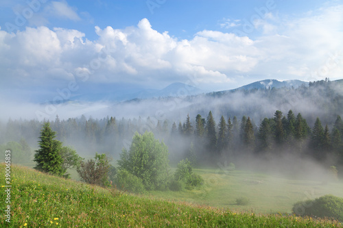 Foggy morning in the mountain valley, meadow and forest, distant mountains in deep fog.
