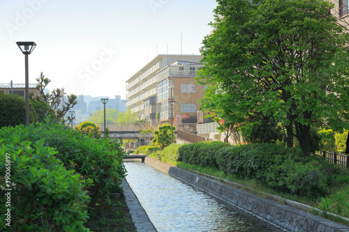 古石場川親水公園