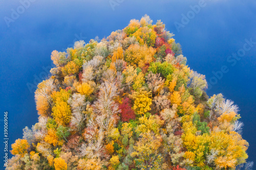 Colorful autumn forest with trees on the shore of a blue lake - the top of the aerial view. Bright landscape autumn background with a bird s eye view.