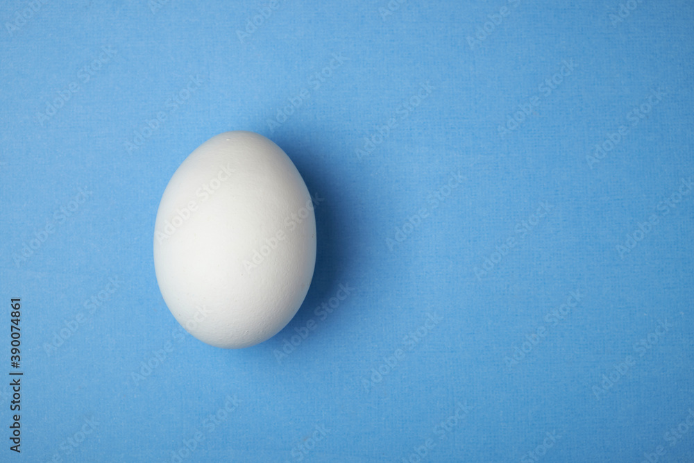 single white chicken egg on a background with space for writing single white chicken egg on a background with space for writing