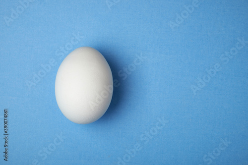 single white chicken egg on a background with space for writing