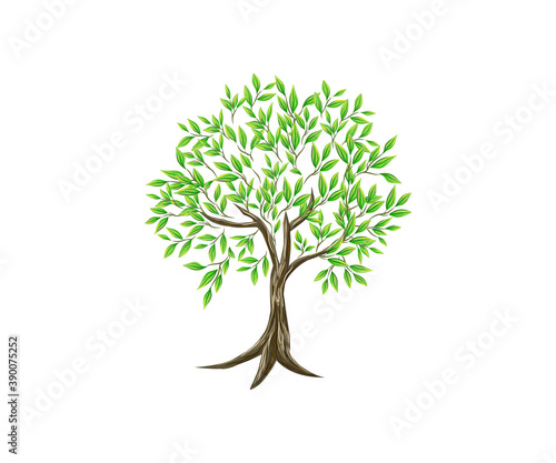 Hand drawn tree vector illustration