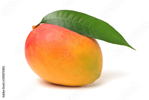mango and leaf on white background.