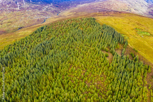 Amazing aerial of forest in County Donegal - Ireland photo