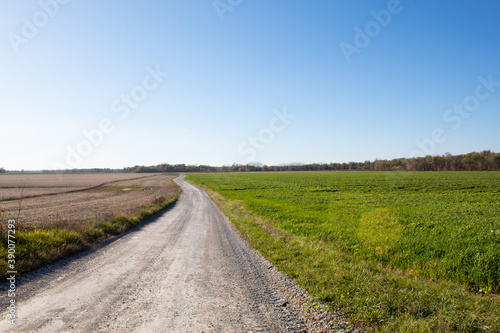 Long country road through the field