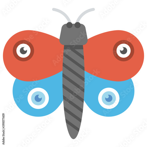 
Cute stuffed butterfly a decorative element
