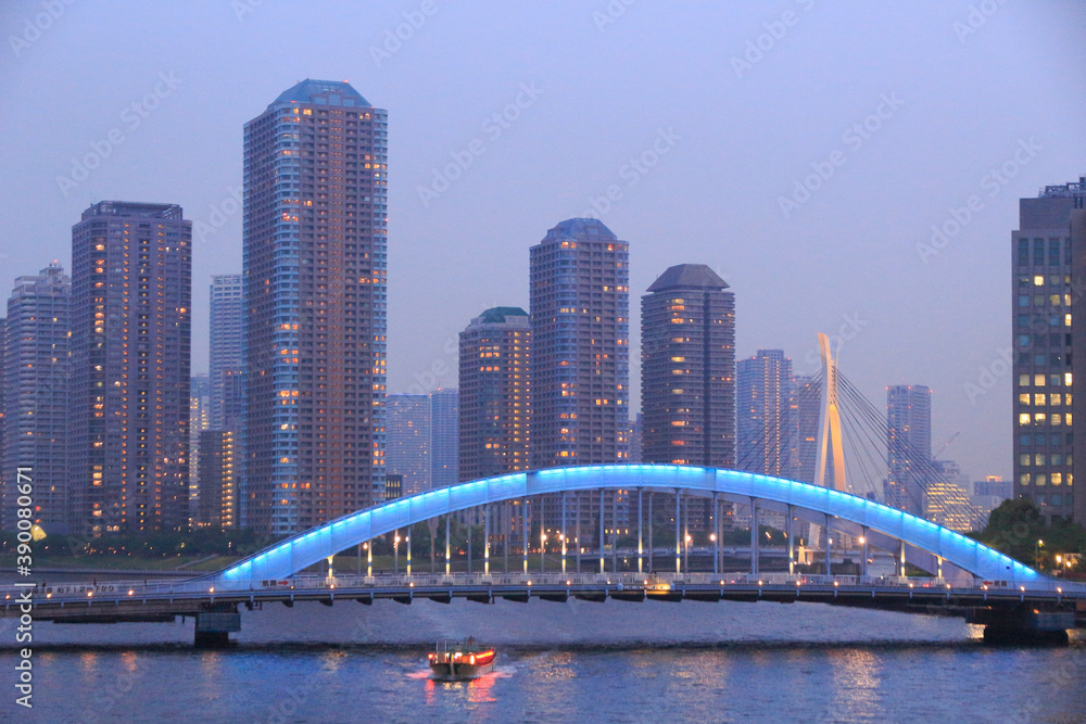 Naklejka premium 佃島タワーマンション 永代橋 屋形船