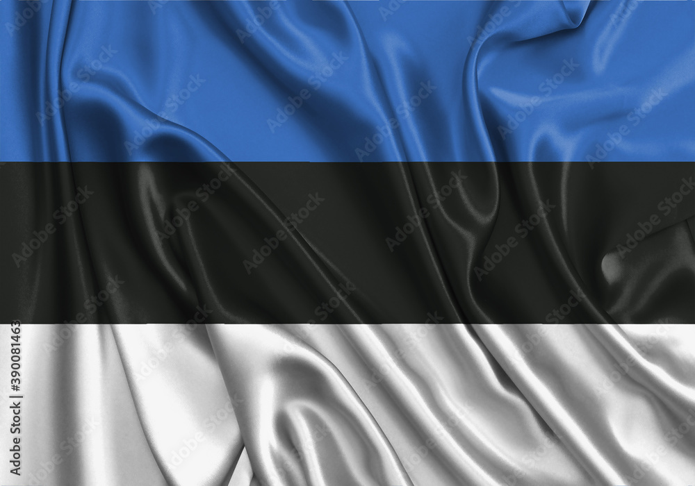 Estonia , national flag on fabric texture. International relationship.