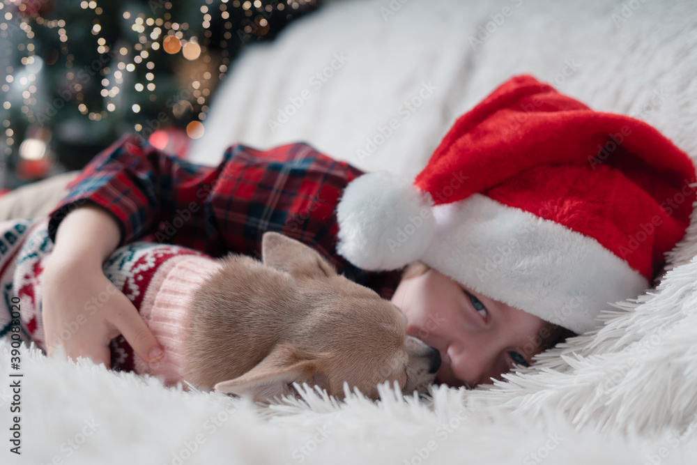 Fototapeta premium Happy Little boy and dog at Christmas