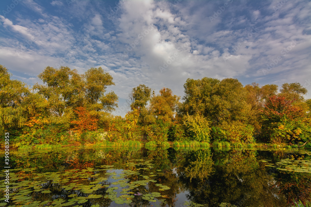 The lake is surrounded by beautiful autumn trees.