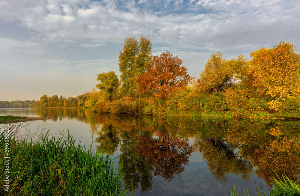 Fototapeta premium The lake is surrounded by beautiful autumn trees.